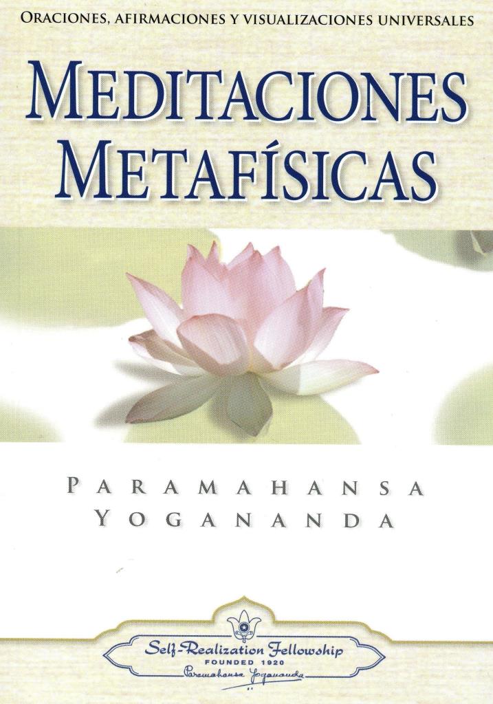 MEDITACIONES METAFISICAS - 2010