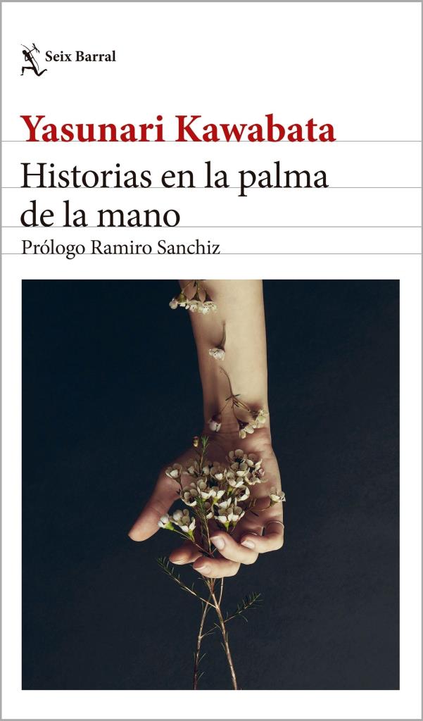 HISTORIAS EN LA PALMA DE LA MANO - 2024