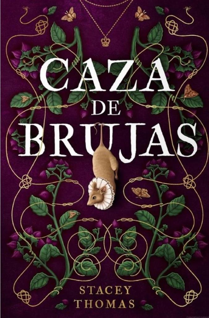 CAZA DE BRUJAS