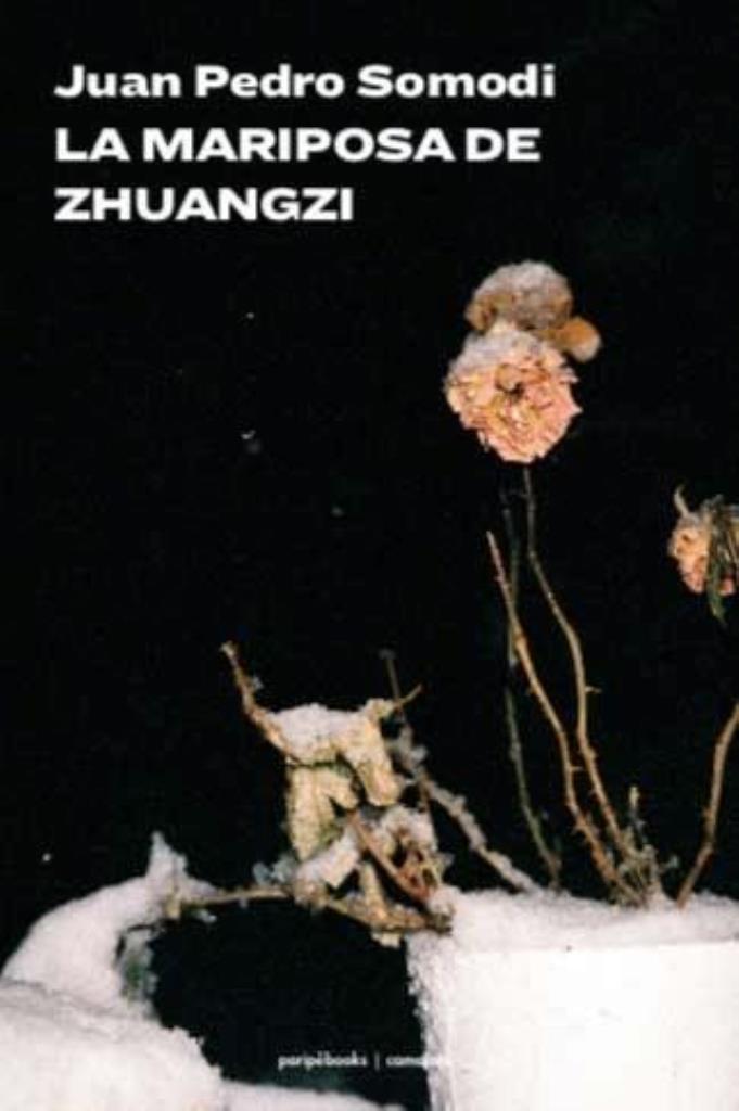 MARIPOSA DEL ZHUANGZI, LA