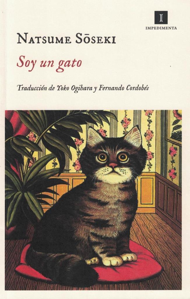 SOY UN GATO