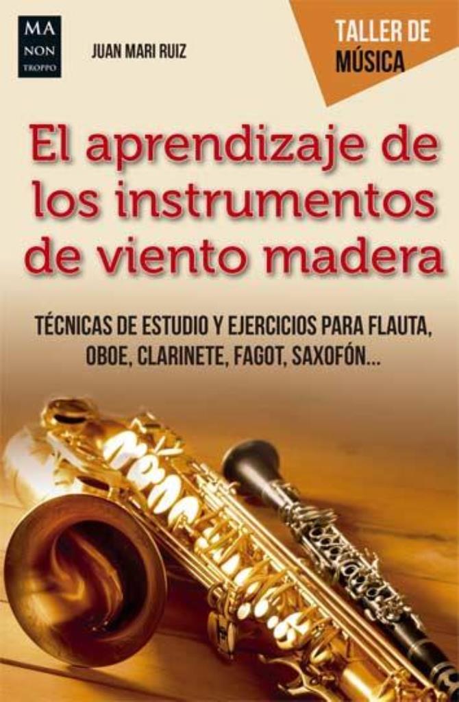 APRENDIZAJE DE LOS INSTRUMENTOS DE VIENTO MADERA , EL