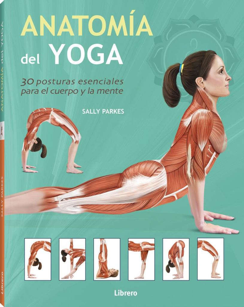 ANATOMIA DEL YOGA