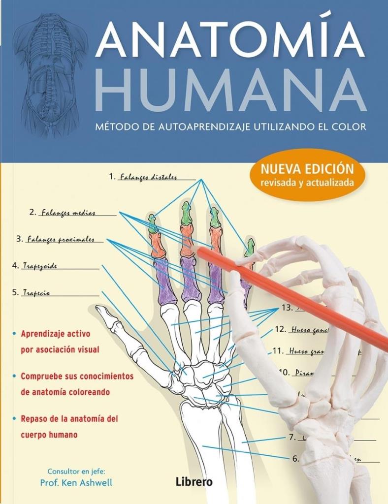 ANATOMIA HUMANA