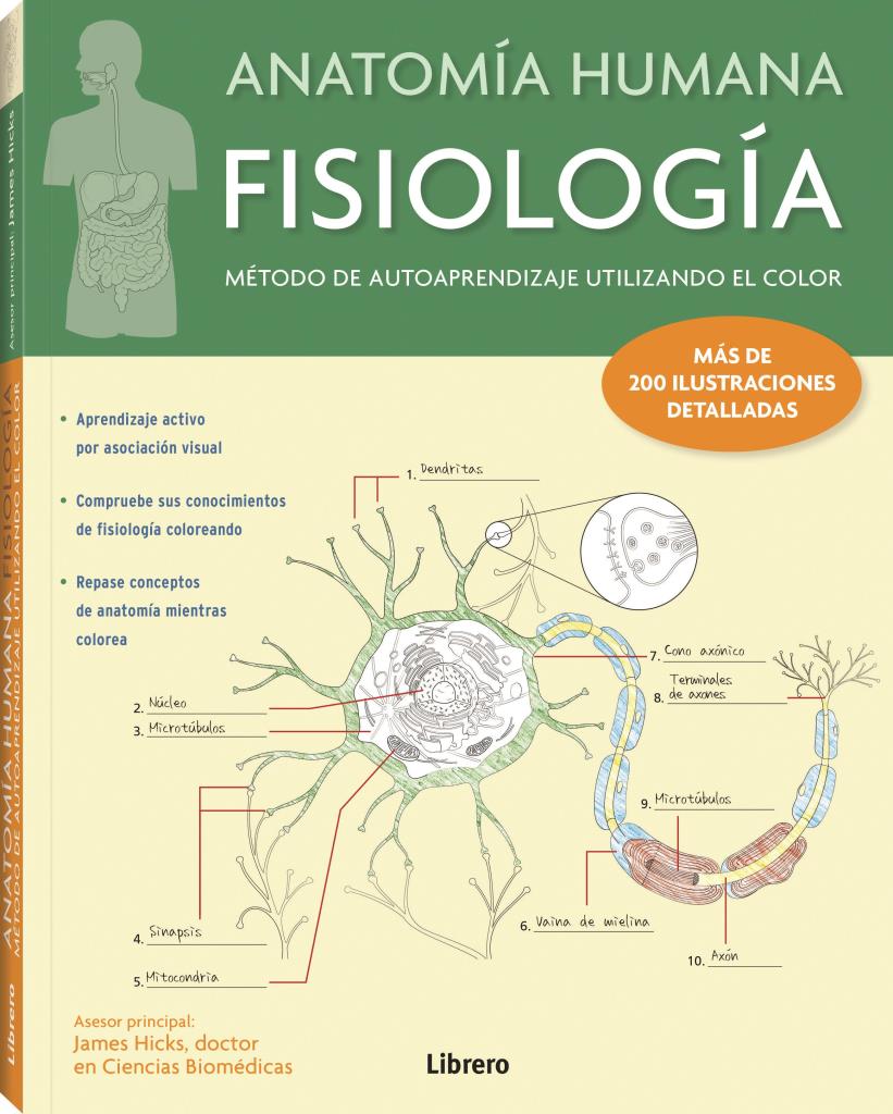 FISIOLOGIA- ANATOMIA HUMANA