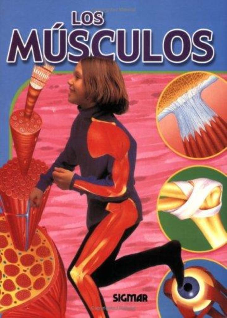 MUSCULOS, LOS